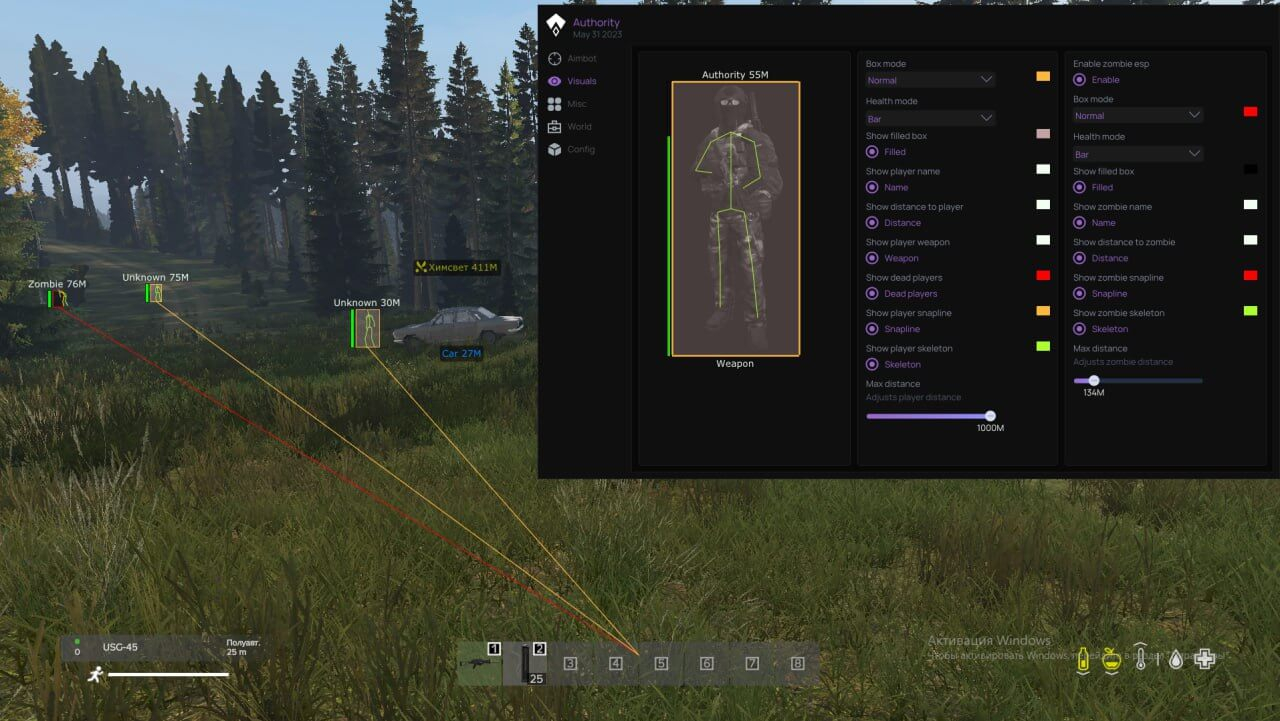 AUTHORITY DAYZ